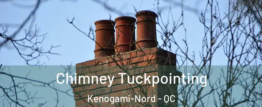  Chimney Tuckpointing Kenogami-Nord - QC