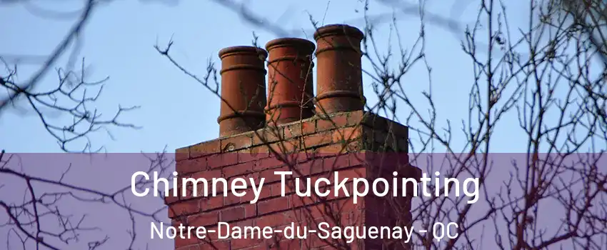  Chimney Tuckpointing Notre-Dame-du-Saguenay - QC