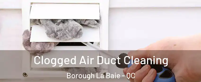  Clogged Air Duct Cleaning Borough La Baie - QC