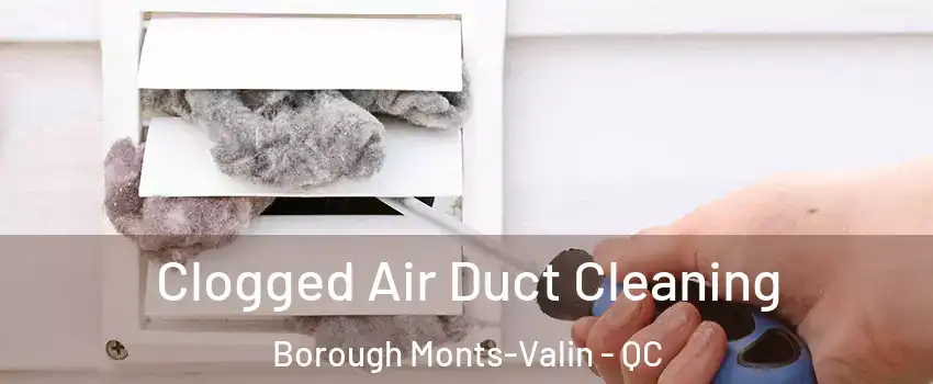  Clogged Air Duct Cleaning Borough Monts-Valin - QC