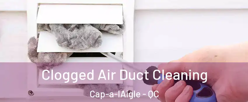  Clogged Air Duct Cleaning Cap-a-lAigle - QC