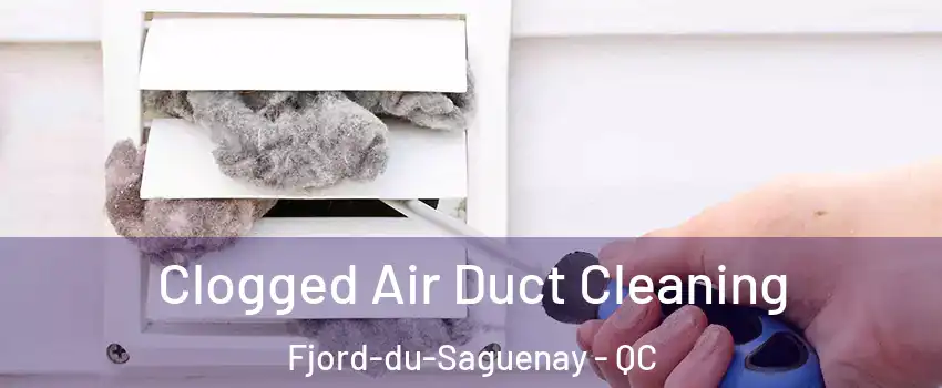  Clogged Air Duct Cleaning Fjord-du-Saguenay - QC