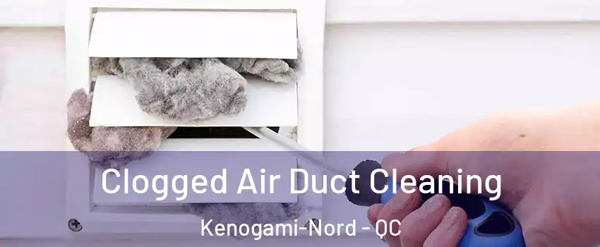  Clogged Air Duct Cleaning Kenogami-Nord - QC