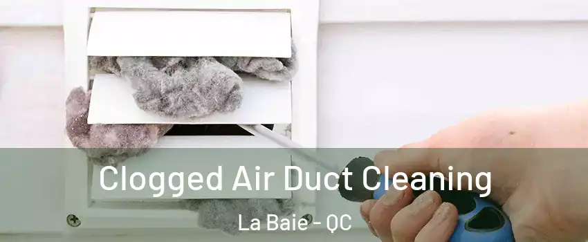  Clogged Air Duct Cleaning La Baie - QC