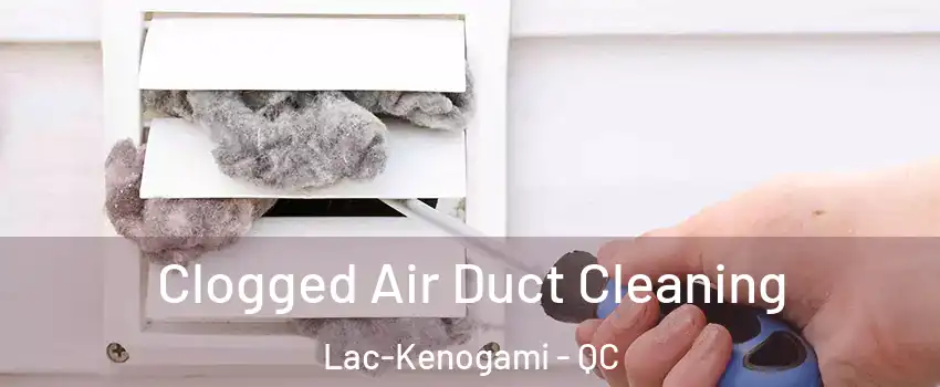  Clogged Air Duct Cleaning Lac-Kenogami - QC