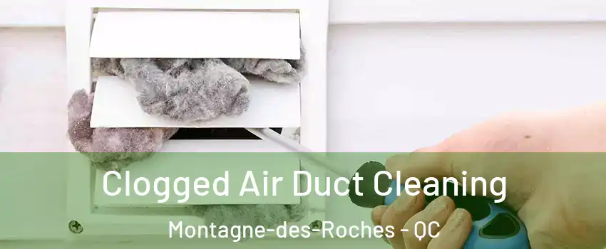  Clogged Air Duct Cleaning Montagne-des-Roches - QC