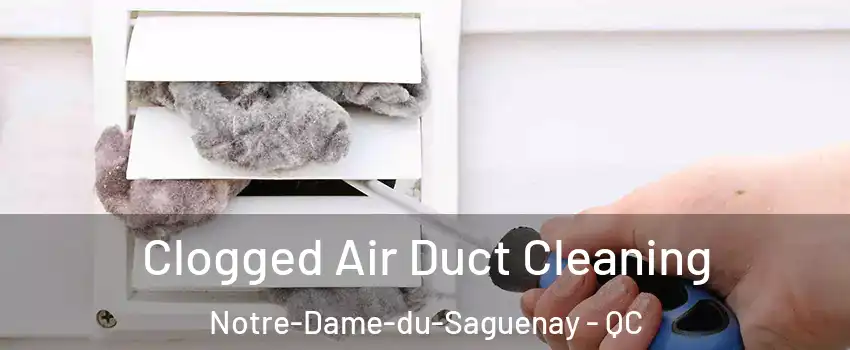  Clogged Air Duct Cleaning Notre-Dame-du-Saguenay - QC