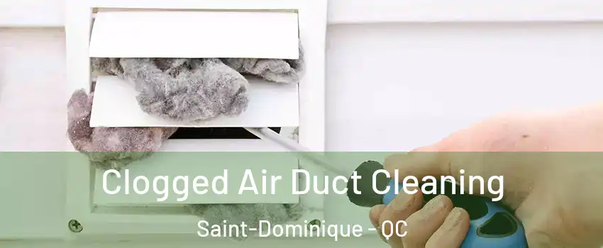  Clogged Air Duct Cleaning Saint-Dominique - QC