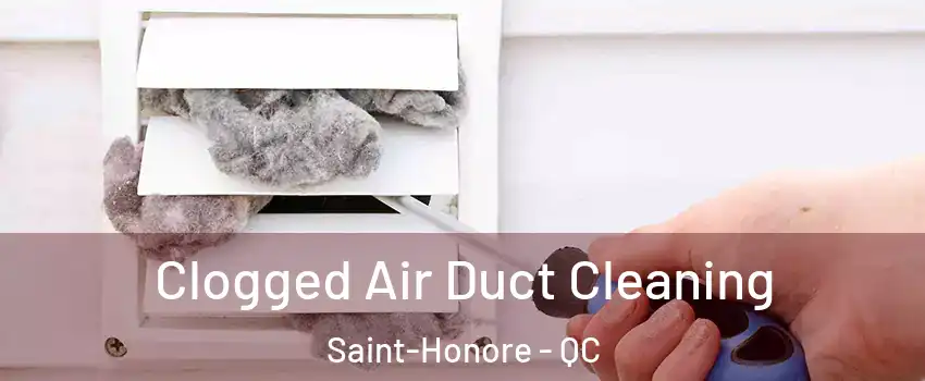  Clogged Air Duct Cleaning Saint-Honore - QC