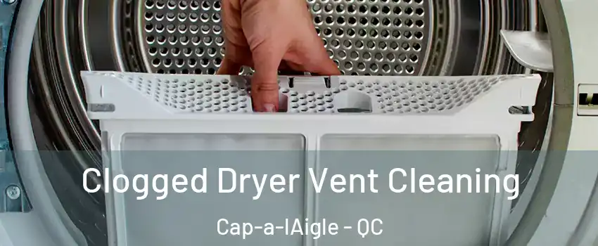  Clogged Dryer Vent Cleaning Cap-a-lAigle - QC