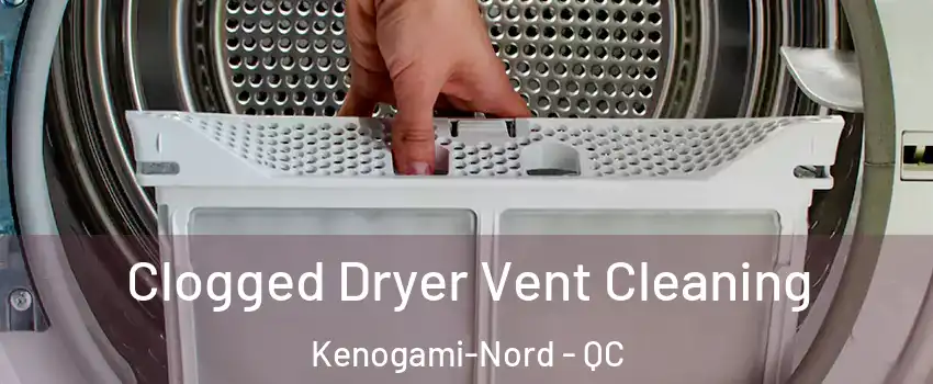  Clogged Dryer Vent Cleaning Kenogami-Nord - QC