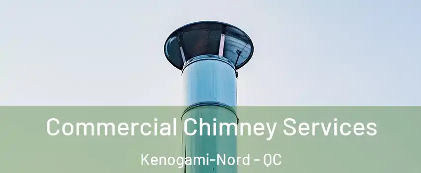  Commercial Chimney Services Kenogami-Nord - QC