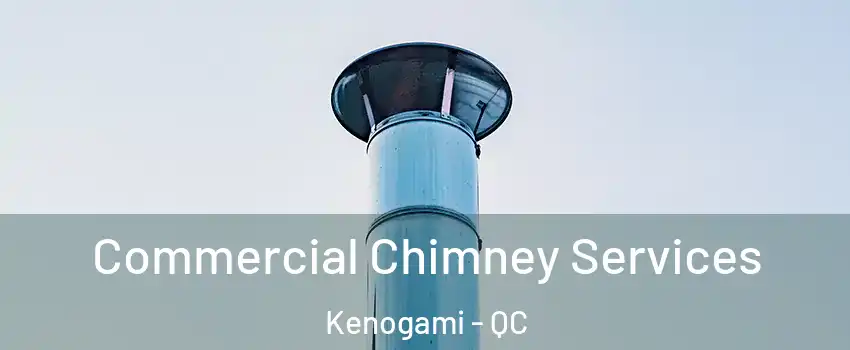  Commercial Chimney Services Kenogami - QC