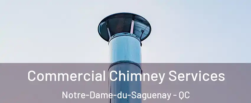  Commercial Chimney Services Notre-Dame-du-Saguenay - QC