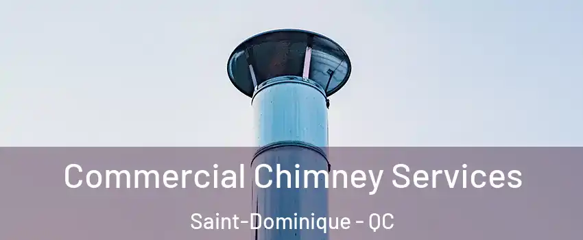  Commercial Chimney Services Saint-Dominique - QC