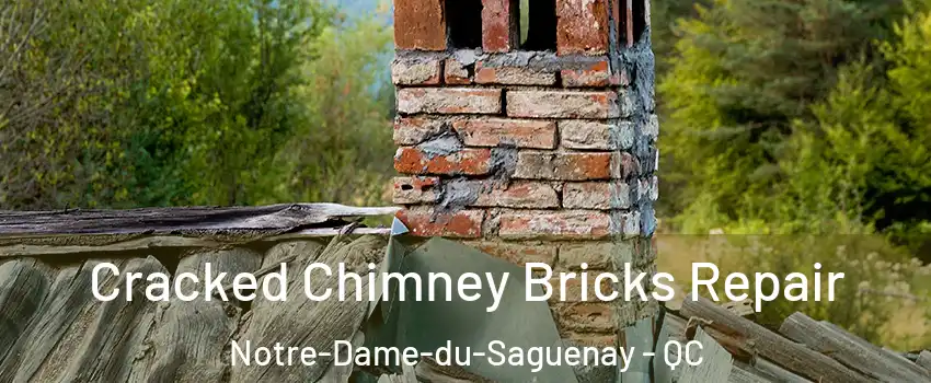  Cracked Chimney Bricks Repair Notre-Dame-du-Saguenay - QC