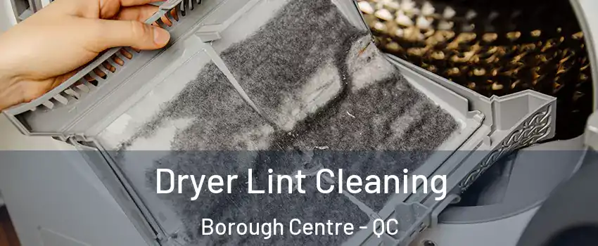  Dryer Lint Cleaning Borough Centre - QC