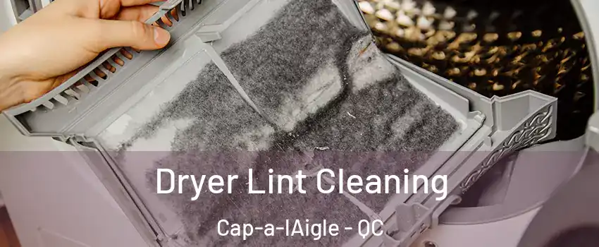  Dryer Lint Cleaning Cap-a-lAigle - QC