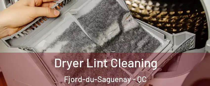  Dryer Lint Cleaning Fjord-du-Saguenay - QC