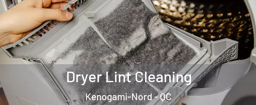  Dryer Lint Cleaning Kenogami-Nord - QC