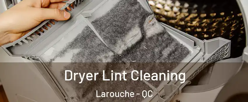  Dryer Lint Cleaning Larouche - QC