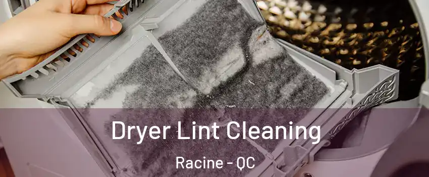  Dryer Lint Cleaning Racine - QC