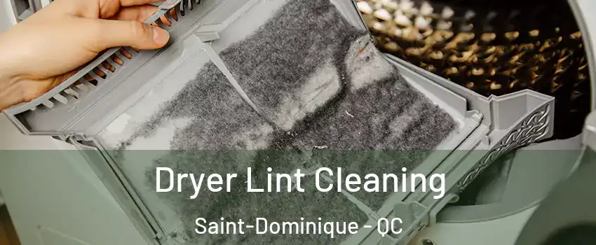  Dryer Lint Cleaning Saint-Dominique - QC