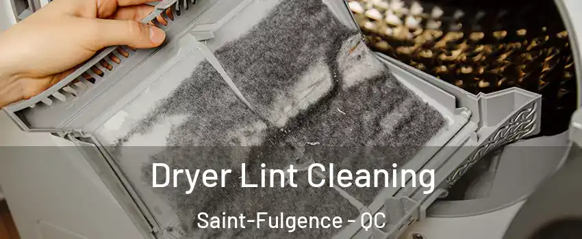  Dryer Lint Cleaning Saint-Fulgence - QC
