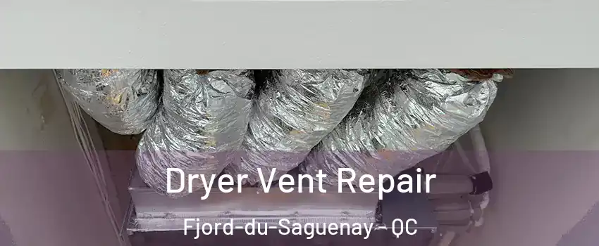  Dryer Vent Repair Fjord-du-Saguenay - QC