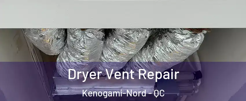  Dryer Vent Repair Kenogami-Nord - QC