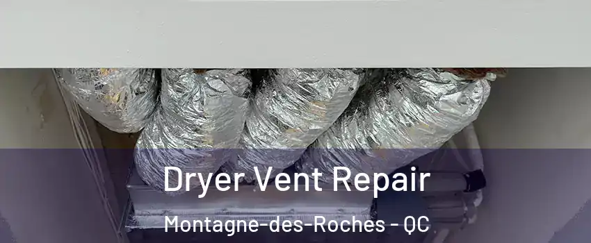  Dryer Vent Repair Montagne-des-Roches - QC