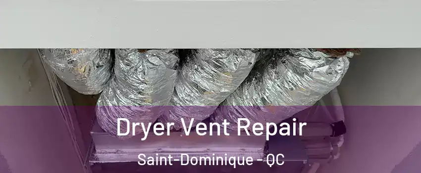  Dryer Vent Repair Saint-Dominique - QC