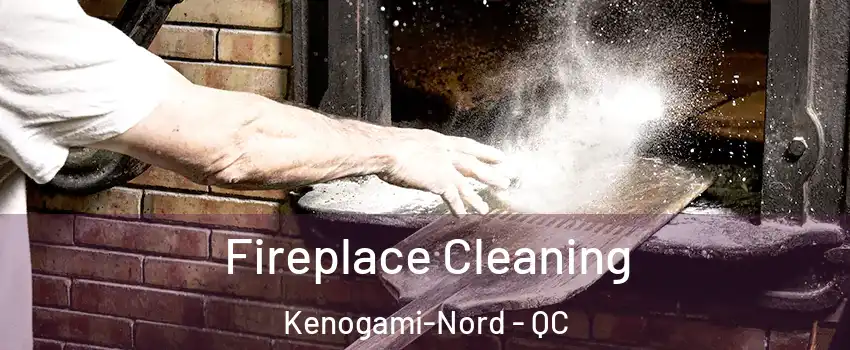  Fireplace Cleaning Kenogami-Nord - QC