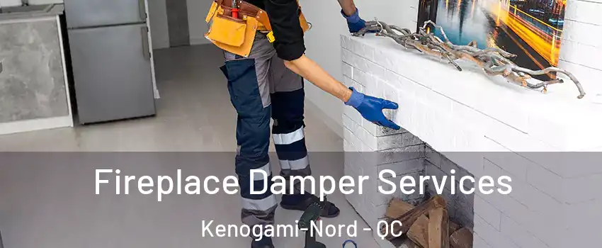  Fireplace Damper Services Kenogami-Nord - QC