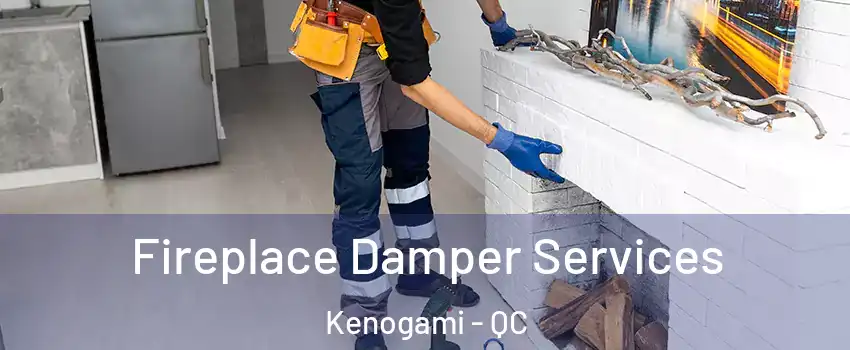  Fireplace Damper Services Kenogami - QC