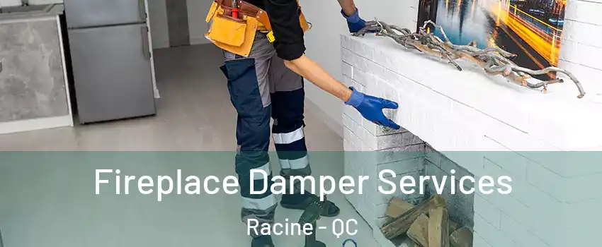  Fireplace Damper Services Racine - QC