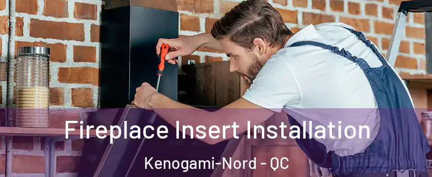  Fireplace Insert Installation Kenogami-Nord - QC
