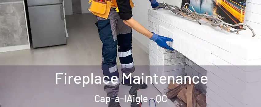  Fireplace Maintenance Cap-a-lAigle - QC