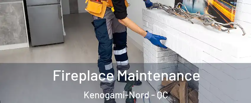  Fireplace Maintenance Kenogami-Nord - QC