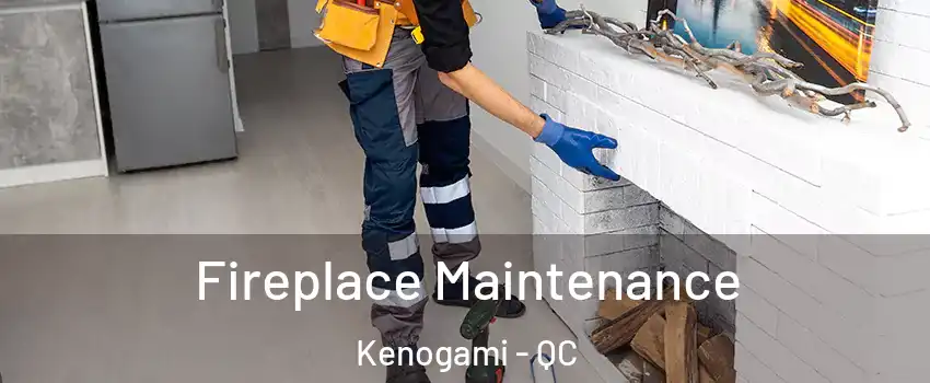  Fireplace Maintenance Kenogami - QC