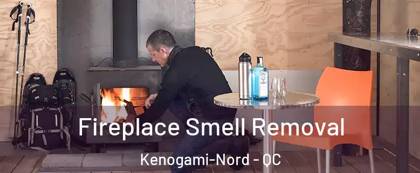  Fireplace Smell Removal Kenogami-Nord - QC