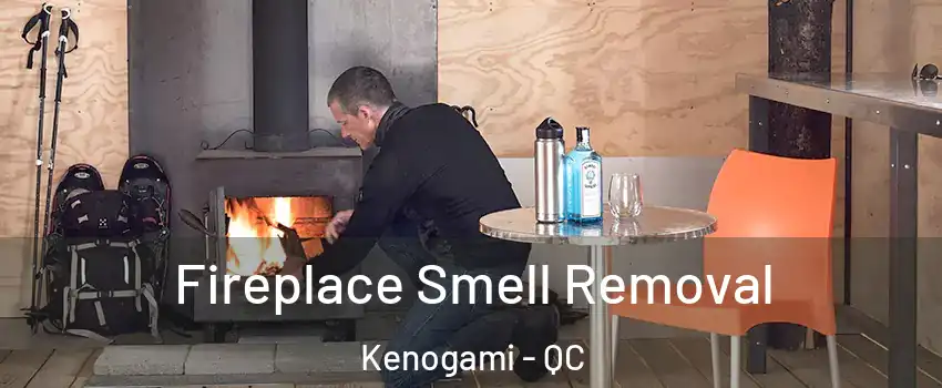  Fireplace Smell Removal Kenogami - QC