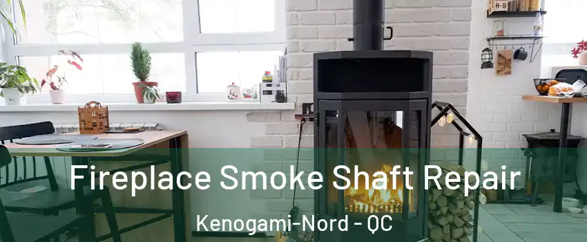  Fireplace Smoke Shaft Repair Kenogami-Nord - QC