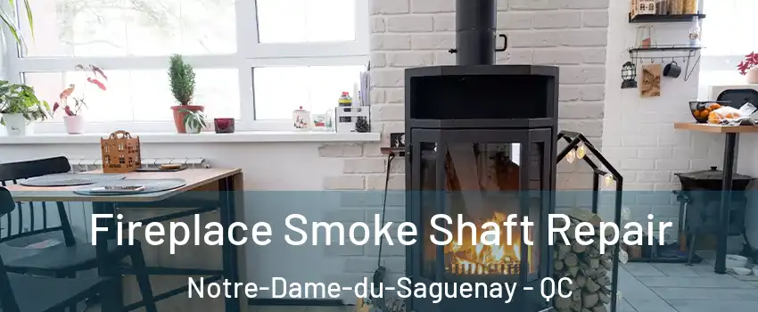  Fireplace Smoke Shaft Repair Notre-Dame-du-Saguenay - QC