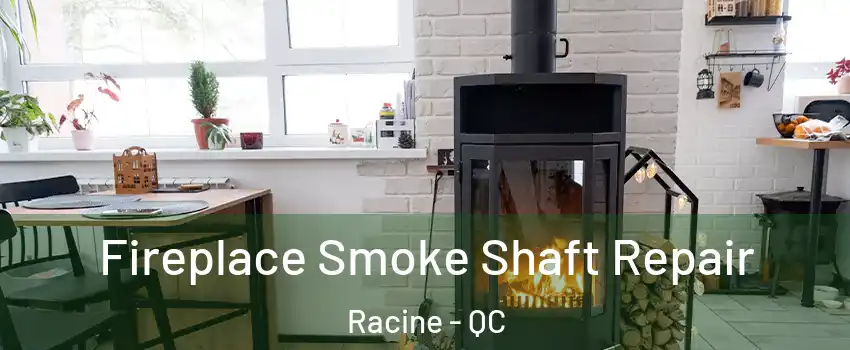  Fireplace Smoke Shaft Repair Racine - QC
