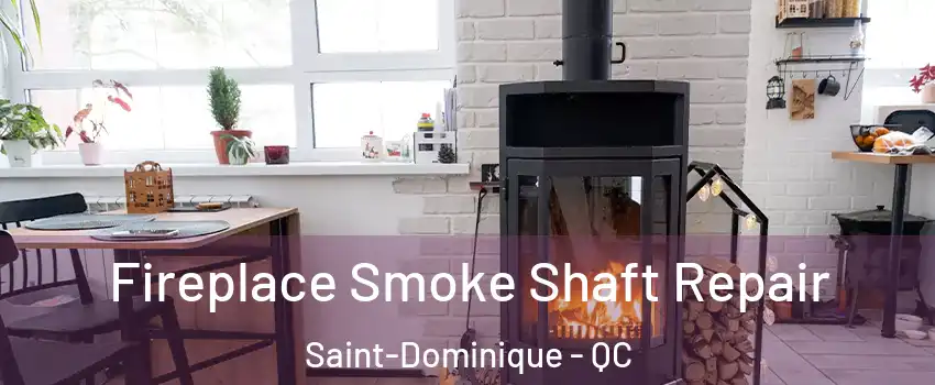  Fireplace Smoke Shaft Repair Saint-Dominique - QC