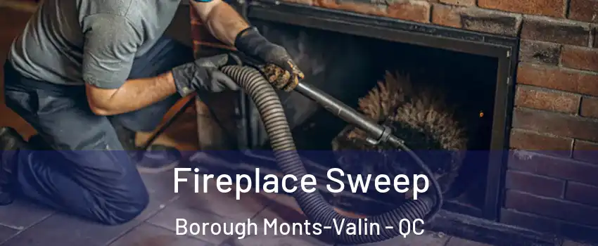 Fireplace Sweep Borough Monts-Valin - QC