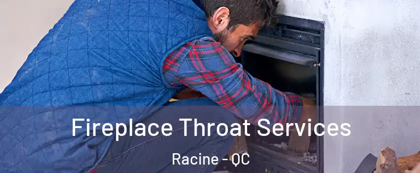  Fireplace Throat Services Racine - QC