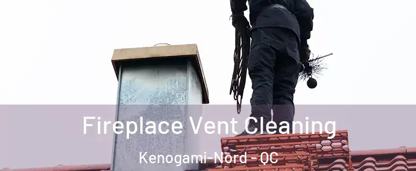 Fireplace Vent Cleaning Kenogami-Nord - QC