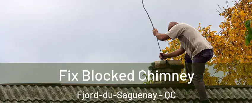  Fix Blocked Chimney Fjord-du-Saguenay - QC